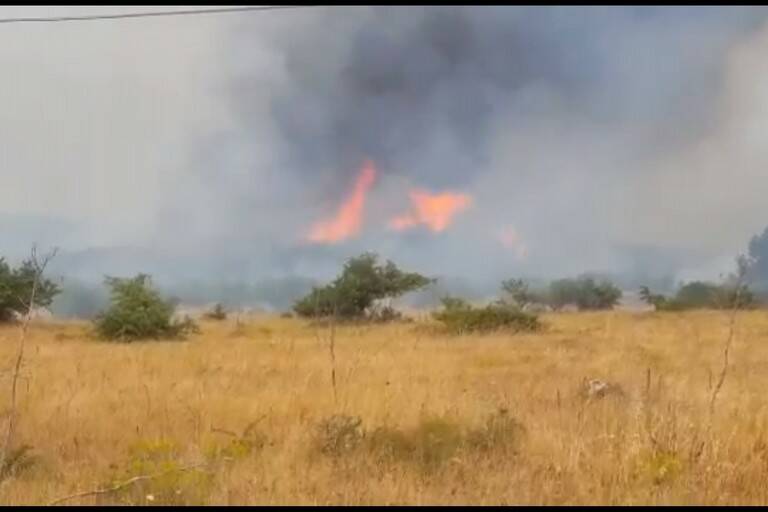 incendio.bosc